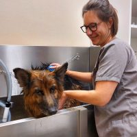FLOTTES-BAD | Hundefriseur Hamburg